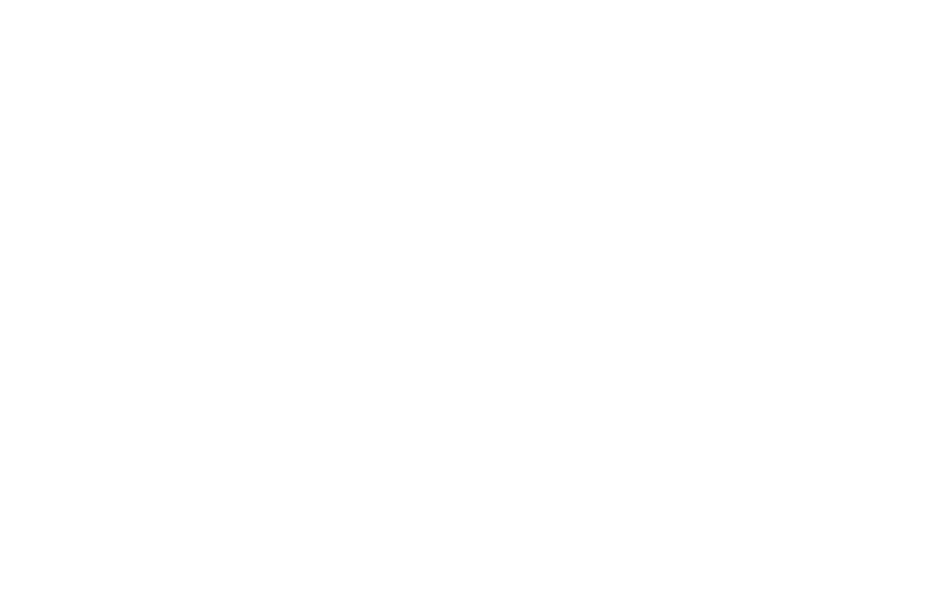 Aletheia frames